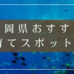 福岡県子育てスポットアイキャッチ